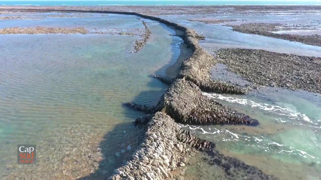 Les Pieds Dans L'Eau Acces Direct A La Plage ลาโกตินิแยร์ ภายนอก รูปภาพ