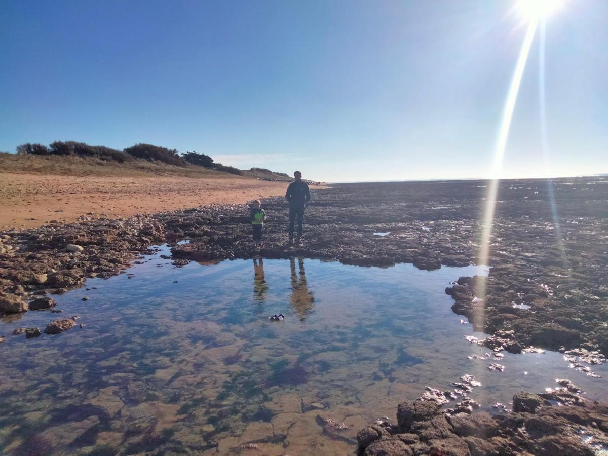 Les Pieds Dans L'Eau Acces Direct A La Plage ลาโกตินิแยร์ ภายนอก รูปภาพ
