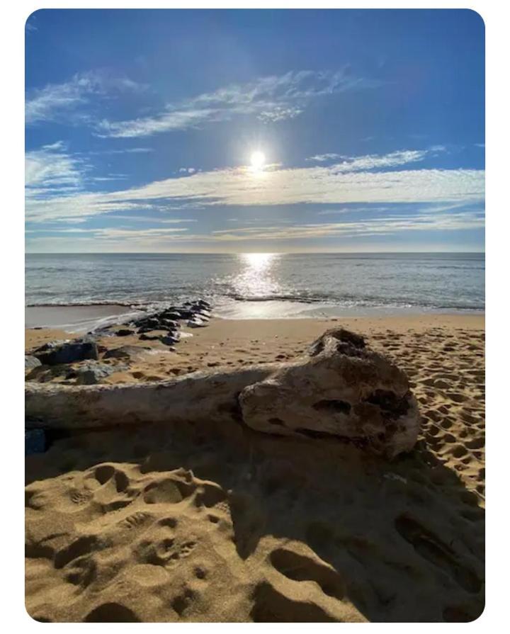 Les Pieds Dans L'Eau Acces Direct A La Plage ลาโกตินิแยร์ ภายนอก รูปภาพ