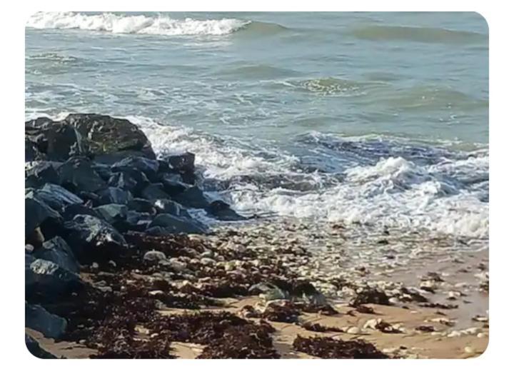 Les Pieds Dans L'Eau Acces Direct A La Plage ลาโกตินิแยร์ ภายนอก รูปภาพ